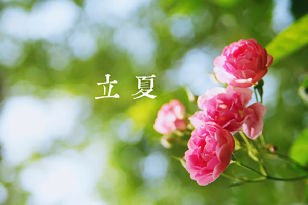 斯普瑞涂裝|立夏,萬物向陽(yáng),且共成長(zhǎng)